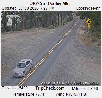 OR245 @ Dooley Mtn N